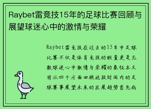 Raybet雷竞技15年的足球比赛回顾与展望球迷心中的激情与荣耀